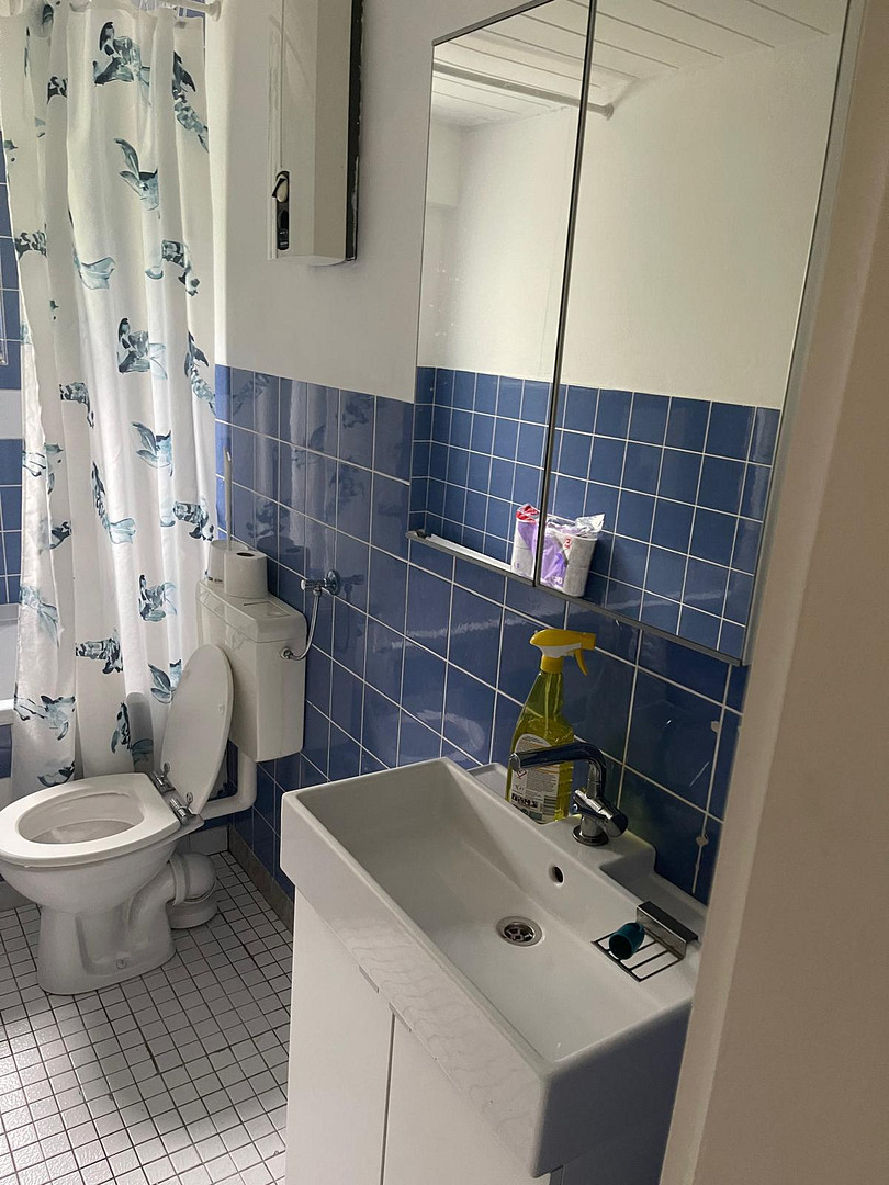 Neunkirchen, Wohnung in ruhiger/zentraler Lage, 3 Zimmer – Im Immenthal 60, 53819 Neunkirchen – Vorschaubild 8