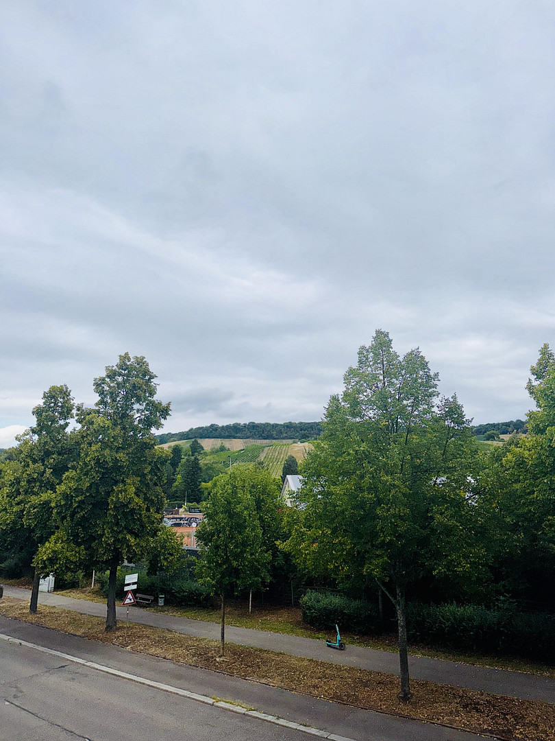 Gepflegte 3-Zimmerwohnung in Toplage von Heilbronn Ost – Jägerhausstraße 202, 74074 Heilbronn – Vorschaubild 27