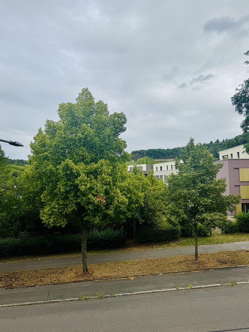 Gepflegte 3-Zimmerwohnung in Toplage von Heilbronn Ost – Jägerhausstraße 202, 74074 Heilbronn – Vorschaubild 19