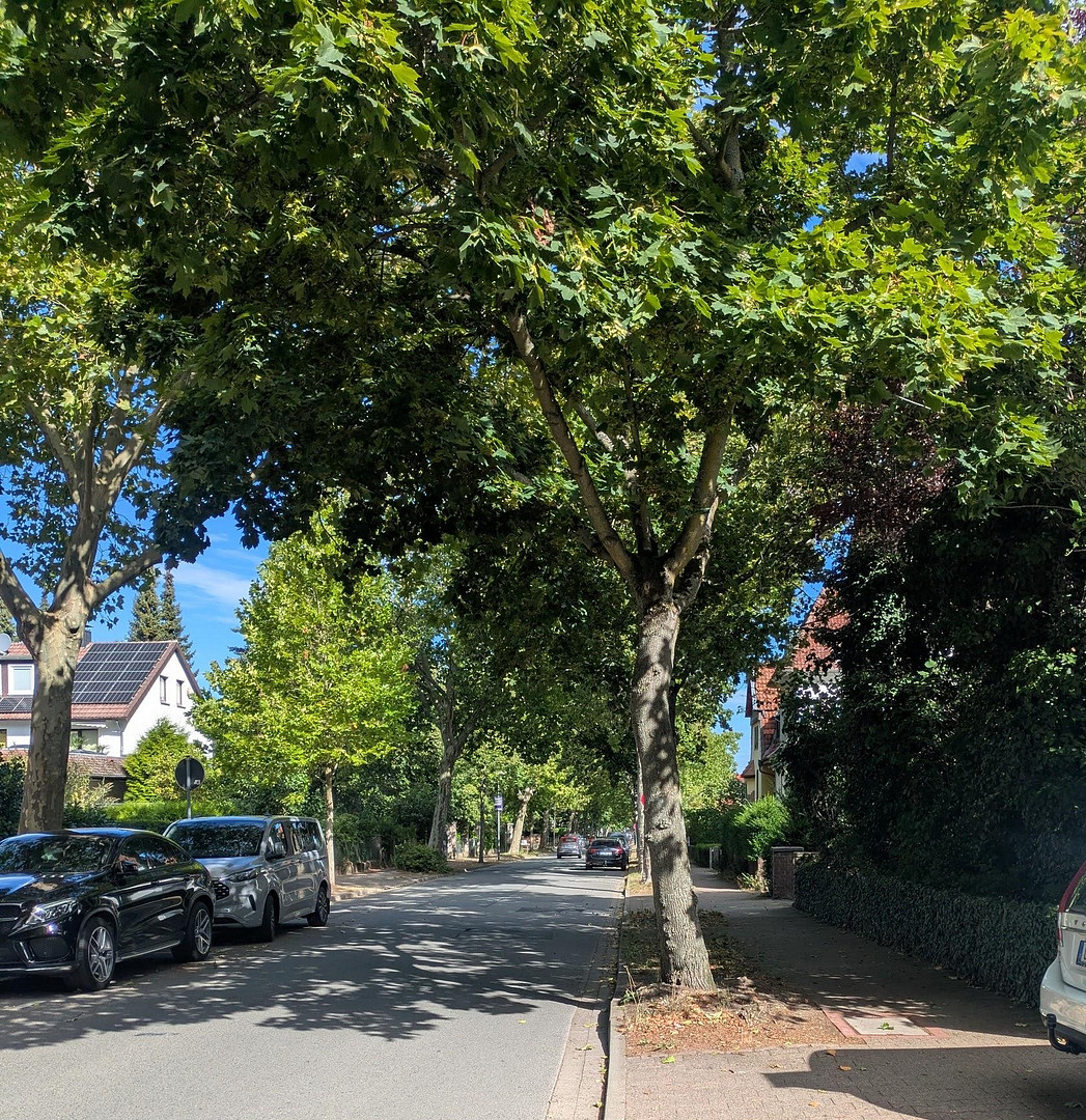 Bismarckstraße