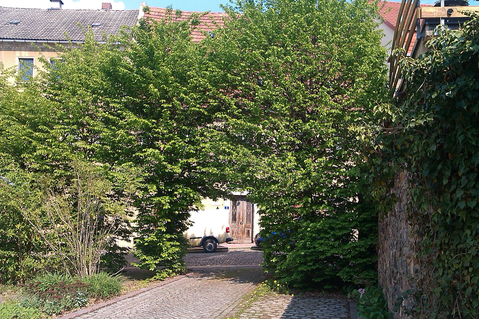 schönes & ruhiges Stadthaus mit ELW Bj. 2000 – Penig – Vorschaubild 25