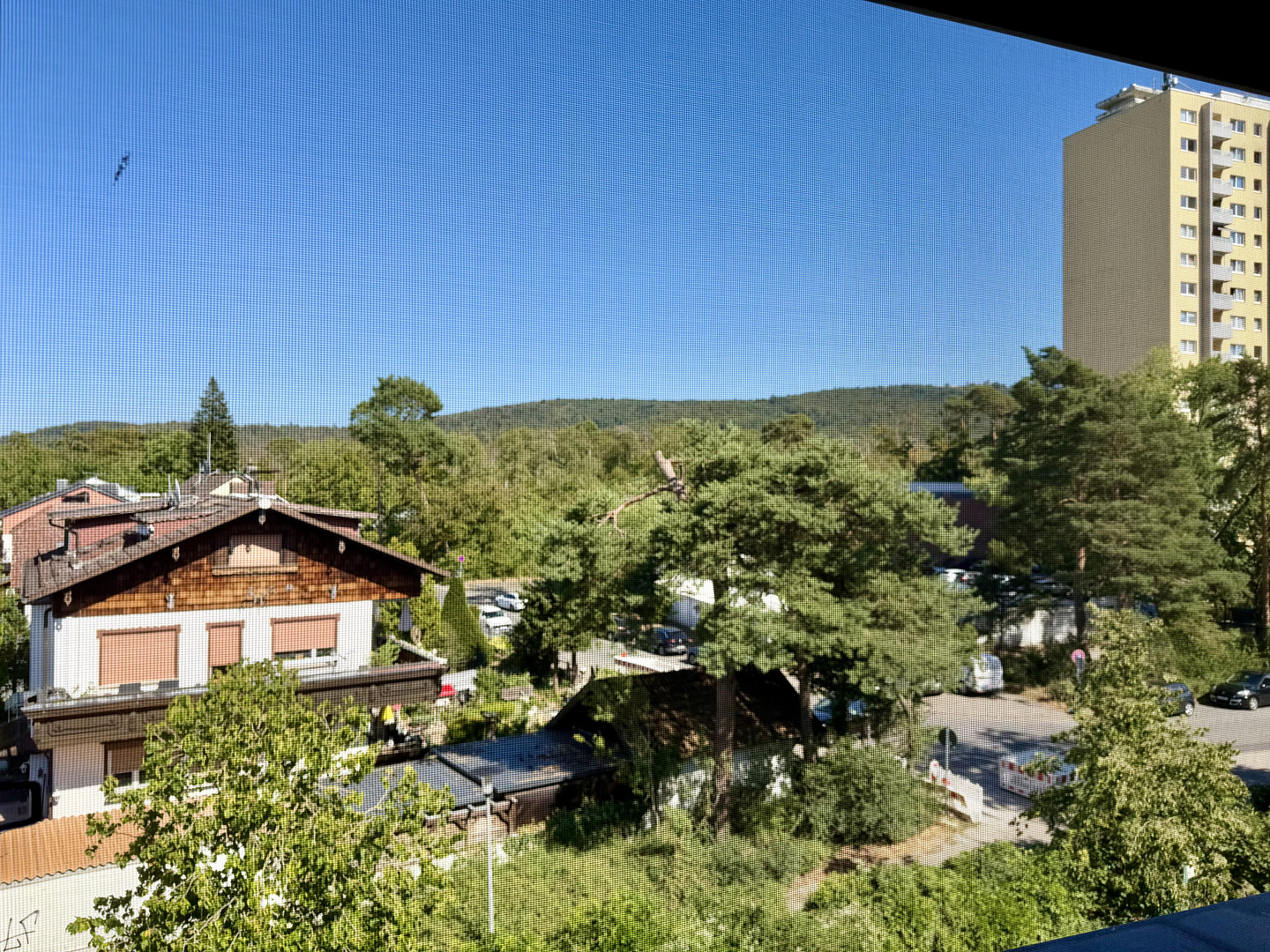Wohnen mit Blick auf Burg Frankenstein -Erstbezug nach Renovierung- 2-Zimmer mit EBK & TG-Stellplatz – 64297 Eberstadt – Vorschaubild 6