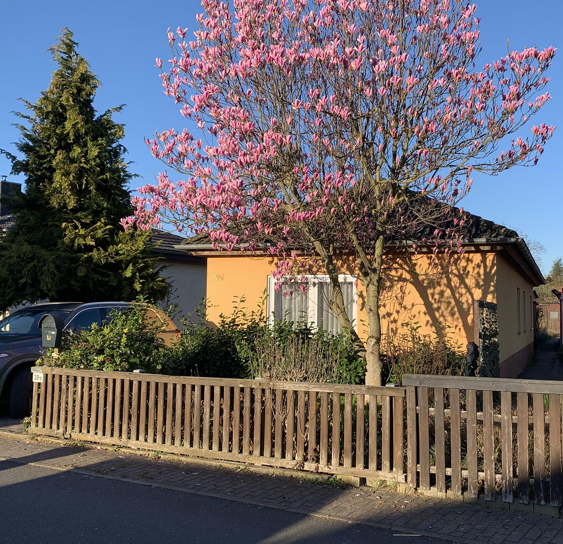 Einfamilienhaus + Gartenbungalow in bester Lage – 39110 Magdeburg(Diesdorf) – Vorschaubild 3
