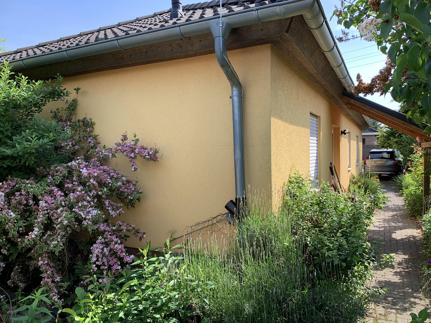 Einfamilienhaus + Gartenbungalow in bester Lage – 39110 Magdeburg(Diesdorf) – Vorschaubild 4