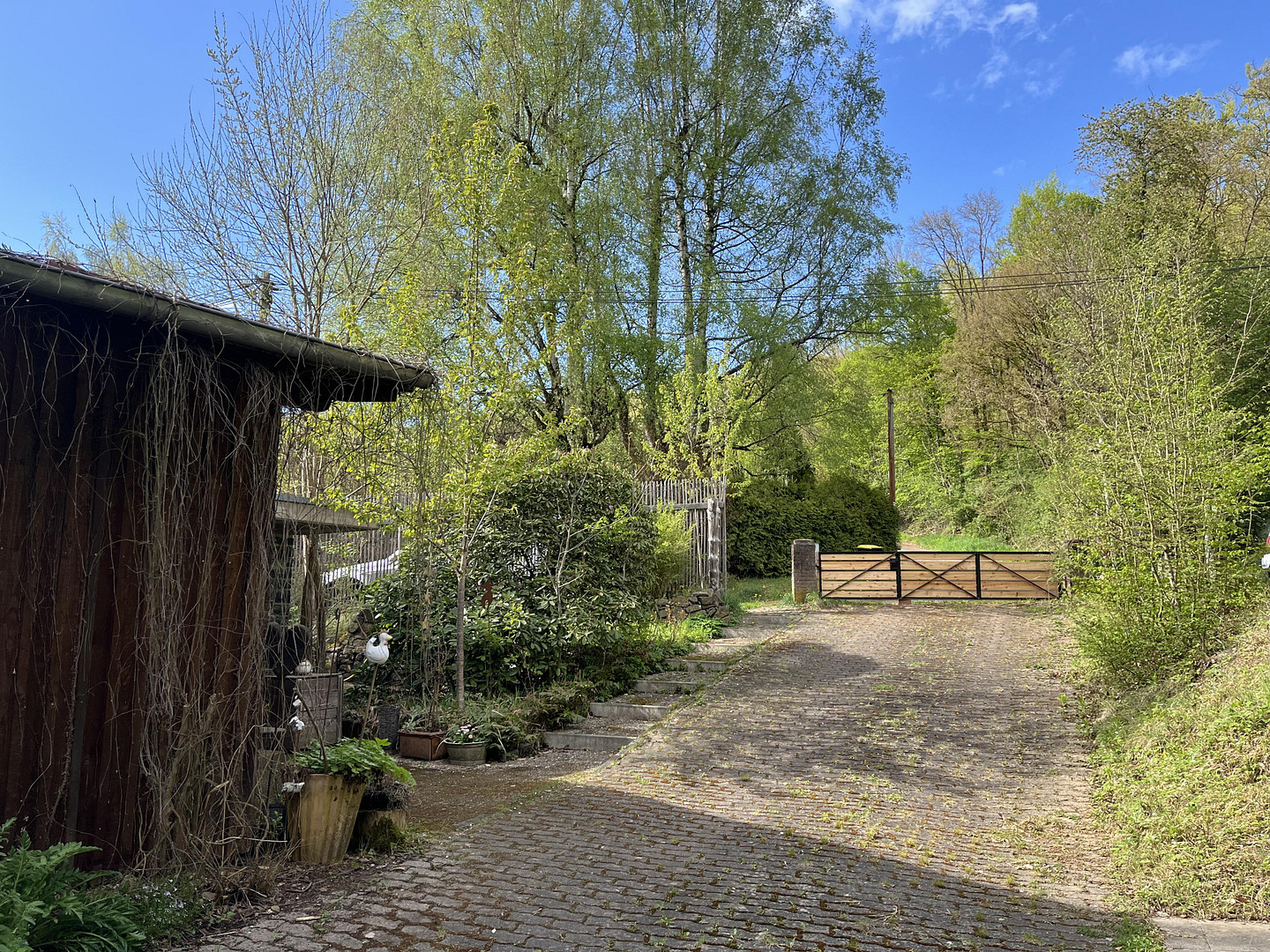 Kernsaniertes Haus mit großen Grundstück am Bach – In den Bruchwiesen 7, 35321 Laubach – Vorschaubild 2