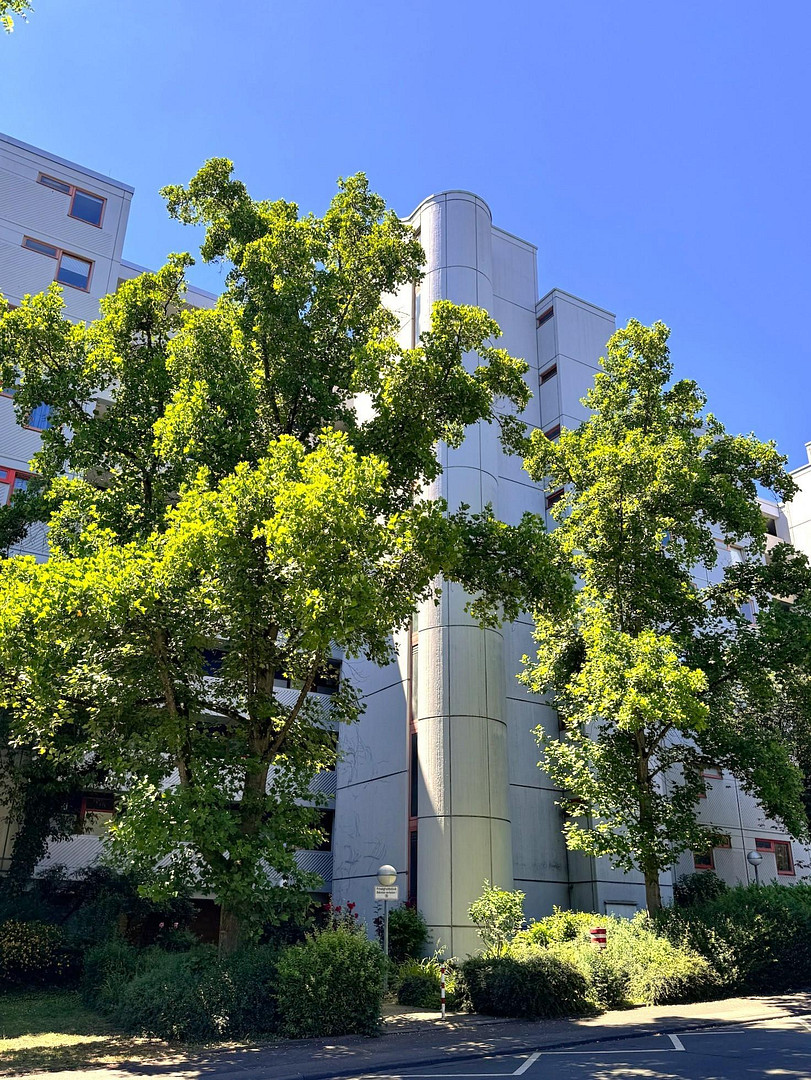 *PROVISIONSFREI* Stilvoll modernisierte 2-Zimmer-Wohnung mit traumhaftem Blick & großem Sonnenbalkon – 65199 Wiesbaden-Dotzheim(Wiesbaden) – Vorschaubild 30