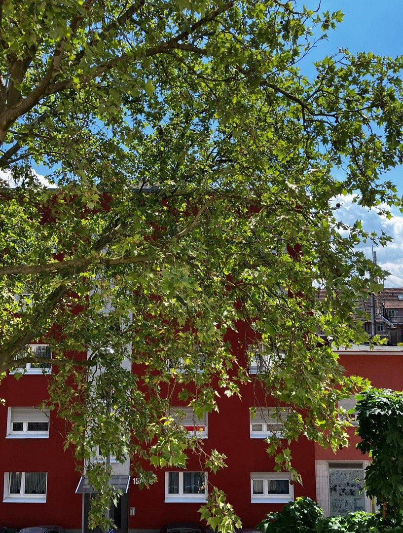 Sonnige 2-Zimmer Altbauwohnung mit Flair und viel Potential – 75172 Pforzheim – Vorschaubild 16