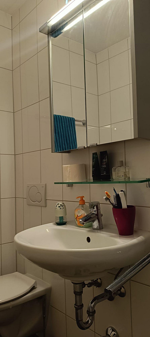 1-Zimmer Appartement in Frankfurt Sachsenhausen | Balkon | Möbliert | Leerstehend – Tucholskystr. 79, 60598 Frankfurt(Sachsenhausen) – Vorschaubild 7