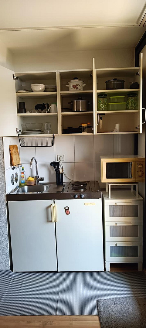 1-Zimmer Appartement in Frankfurt Sachsenhausen | Balkon | Möbliert | Leerstehend – Tucholskystr. 79, 60598 Frankfurt(Sachsenhausen) – Vorschaubild 10