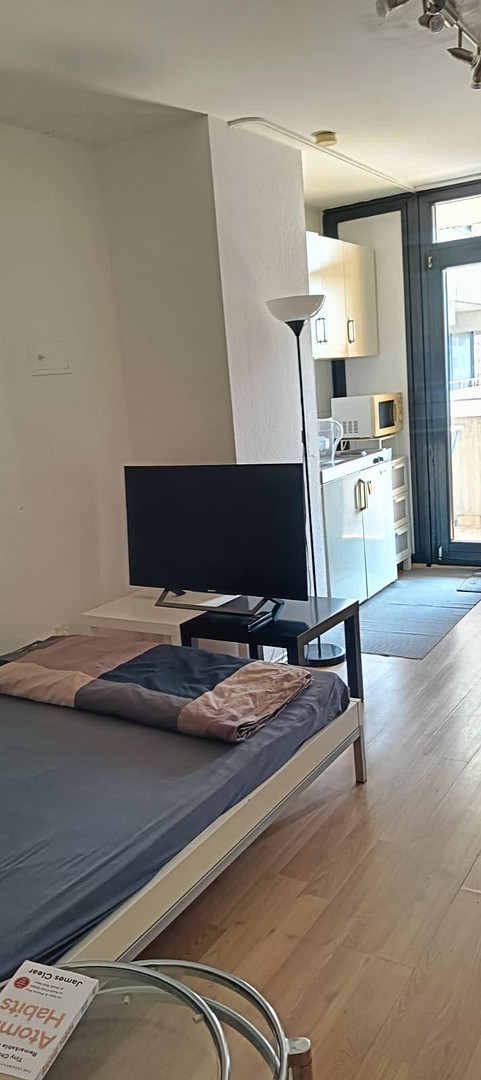 1-Zimmer Appartement in Frankfurt Sachsenhausen | Balkon | Möbliert | Leerstehend – Tucholskystr. 79, 60598 Frankfurt(Sachsenhausen) – Vorschaubild 9