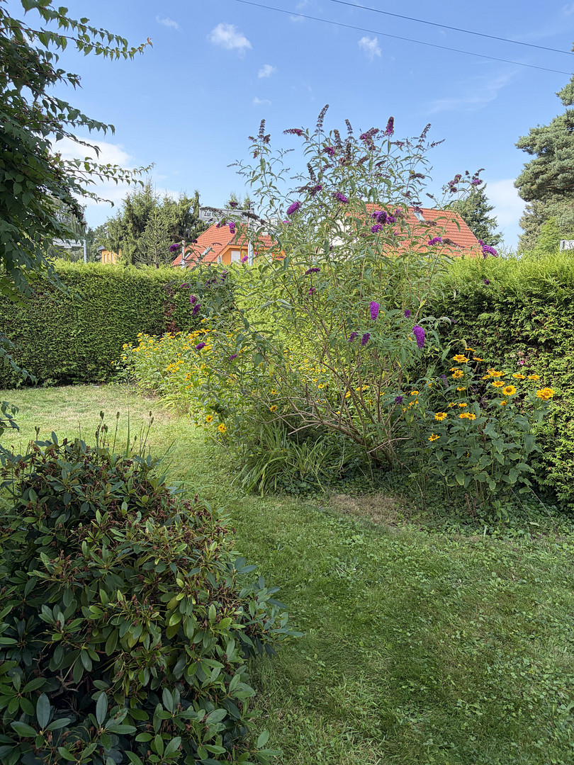 Provisionsfrei in die Zukunft! EFH mit Wärmepumpe und PV nahe Wald und Wasser – 12559 Berlin(Müggelheim) – Vorschaubild 30