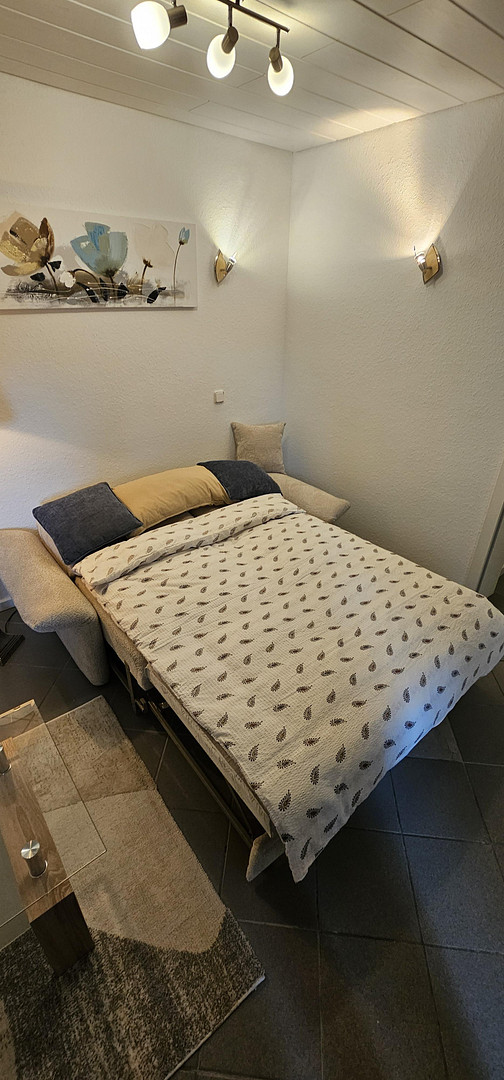 2-Zimmer-Einliegerstudio: Neu, modern, Voll-All-Inclusiv, seperater Eingang, Terasse, premium Lage – 42655 Solingen – Vorschaubild 10
