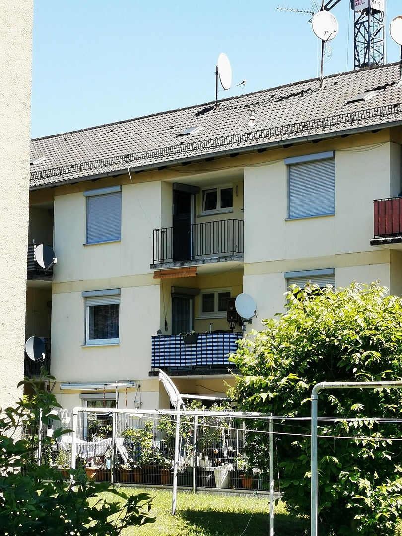 Renovierte 2-Zimmer-Wohnung in zentraler Lage – nahe Straubinger Bahnhof und Altstadt – Dr. Otto-Höchtl-Straße 18a, 94315 Straubing – Vorschaubild 2