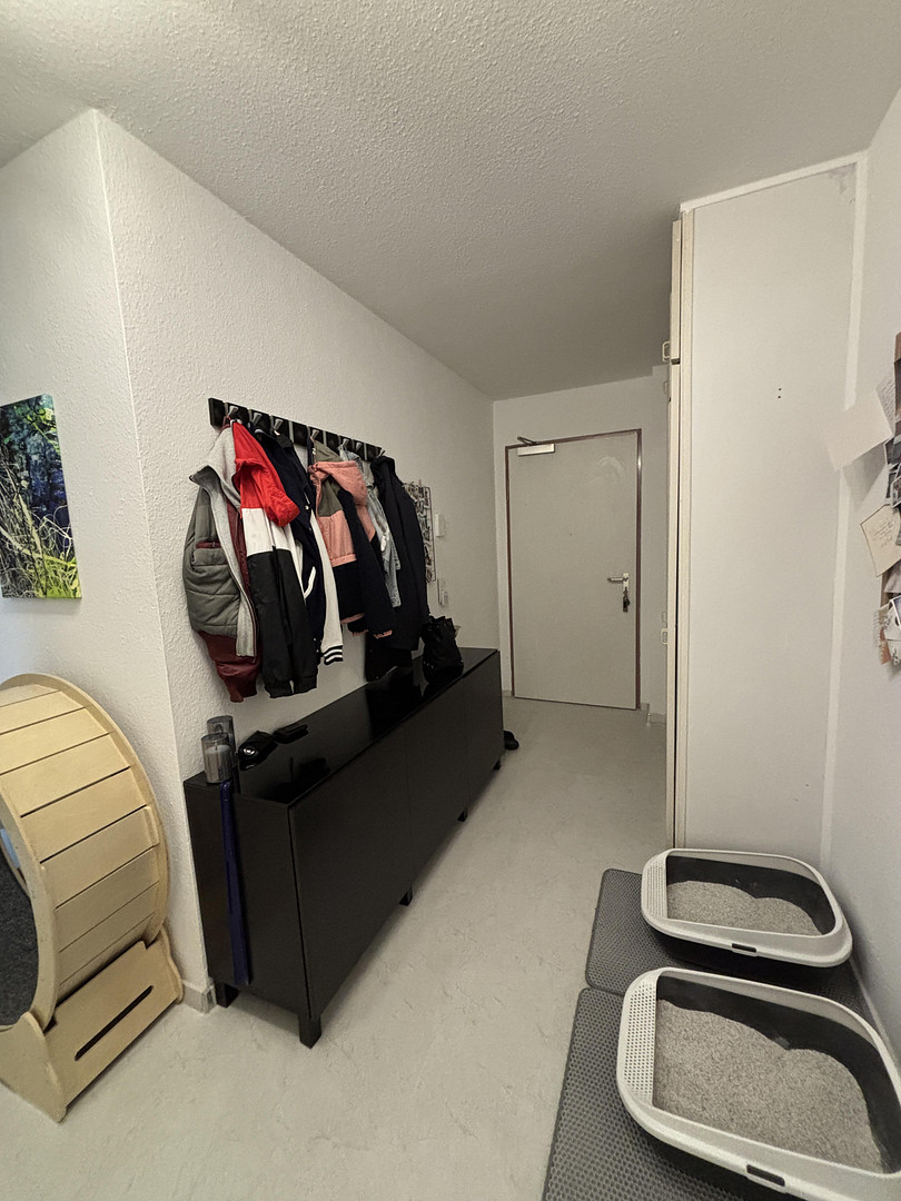 Gepflegte 2-Zimmer-Wohnung mit Balkon, Einbauküche, Stellplatz & Aufzug in Maintal-Dörnigheim – 63477 Maintal(Dörnigheim) – Vorschaubild 12