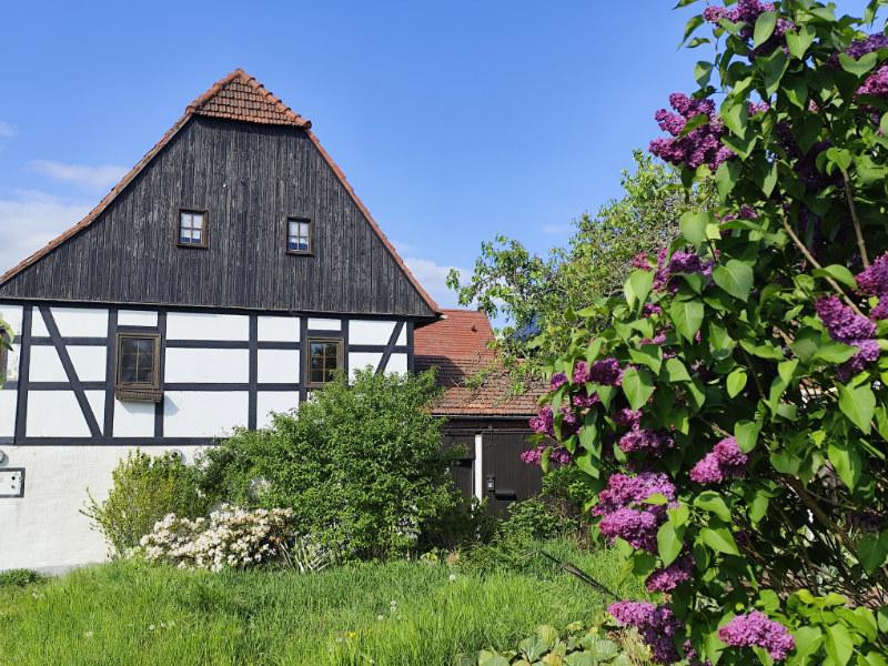 Ein Zuhause mit Charakter – Fachwerk, Lehm & Abendsonne – Zur Hohle 2, 1328 Dresden(Malschendorf) – Vorschaubild 3