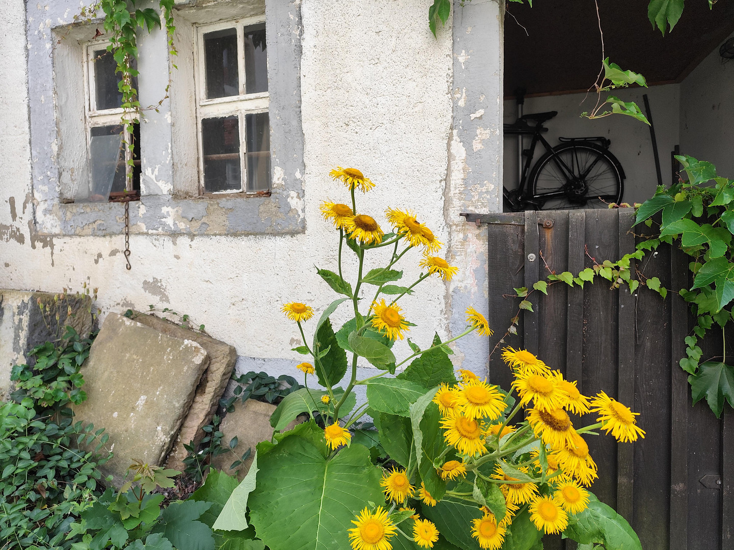 Ein Zuhause mit Charakter – Fachwerk, Lehm & Abendsonne – Zur Hohle 2, 1328 Dresden(Malschendorf) – Vorschaubild 21