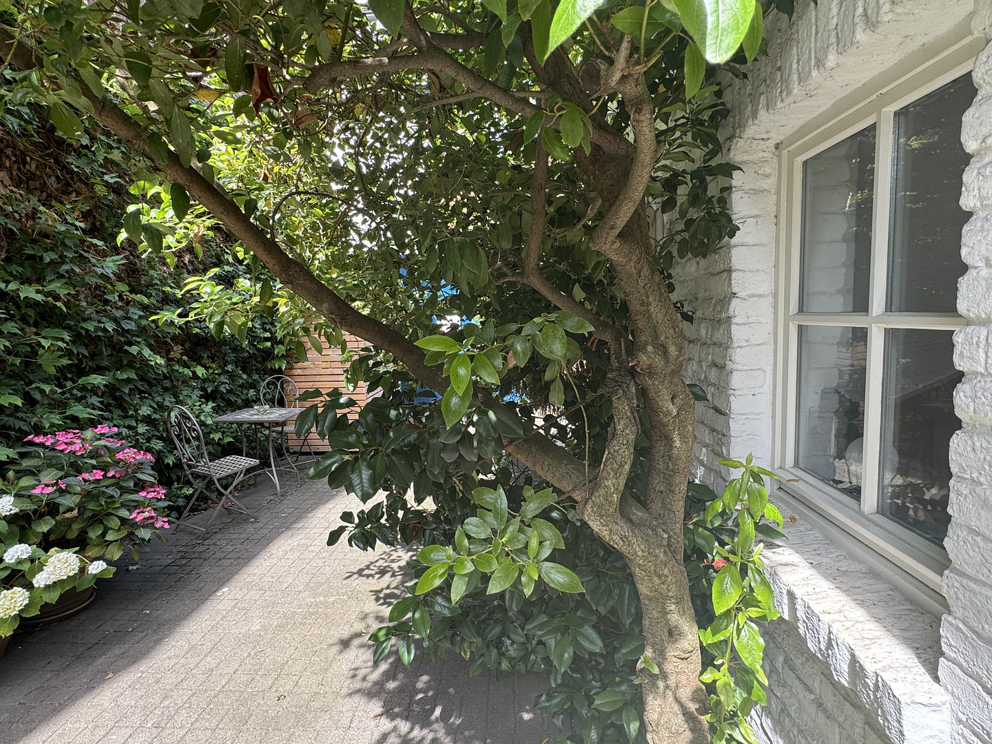 Ehrenfeld-Bickendorf: Wunderschönes Landhaus mit Hof und großem Garten, ökologisch saniert – 50827 Köln(Bickendorf) – Vorschaubild 2