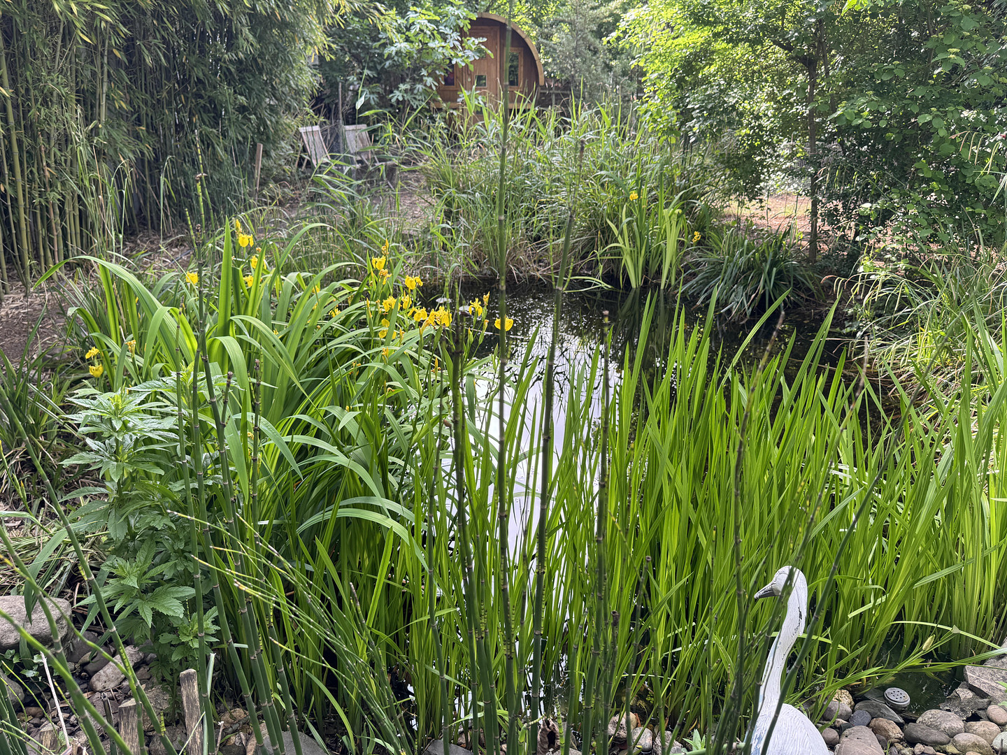 Ehrenfeld-Bickendorf: Wunderschönes Landhaus mit Hof und großem Garten, ökologisch saniert – 50827 Köln(Bickendorf) – Vorschaubild 10