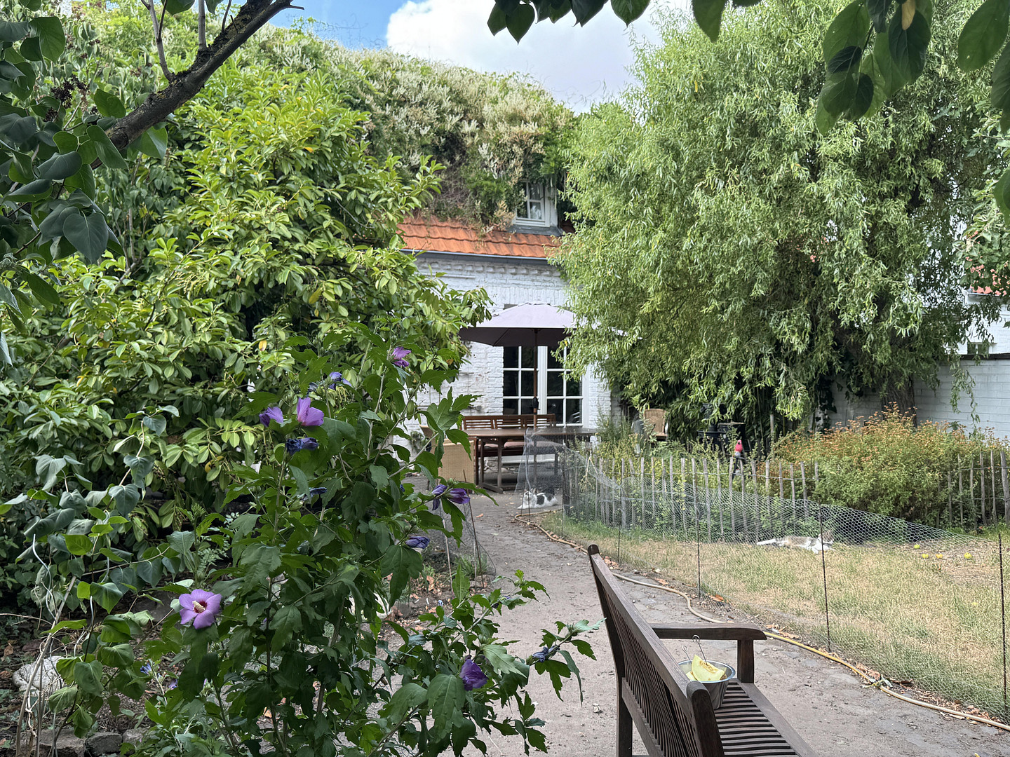 Ehrenfeld-Bickendorf: Wunderschönes Landhaus mit Hof und großem Garten, ökologisch saniert – 50827 Köln(Bickendorf) – Vorschaubild 8
