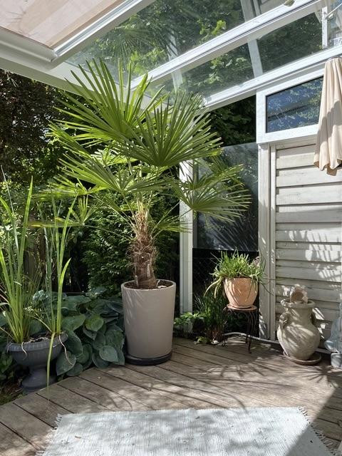 3-4 Zi Gartenoase, 2 Holzterrassen, Glasdach, Pavillon, Wallbox – 81827 München(Trudering) – Vorschaubild 10
