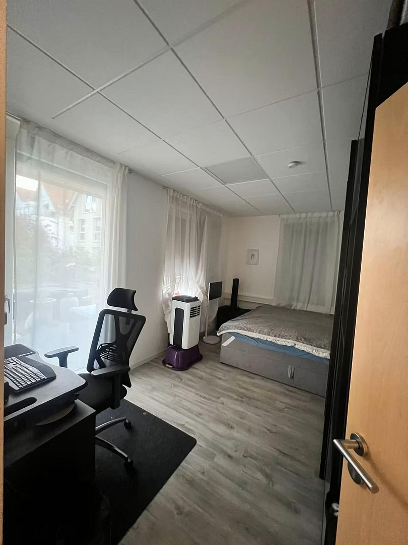 3-Zi.-EG-Wohnung Horkheim – Terrasse & 2 Tiefgaragestellpläte, ggf Friseurladen – 74081 Horkheim – Vorschaubild 4