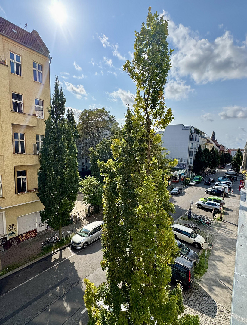 Bezugsfreie - 2-Zimmer-Altbauwohnung mit Südbalkon im Bötzowviertel – Pasteur Str. 29, 10407 Berlin(Prenzlauer Berg) – Vorschaubild 8