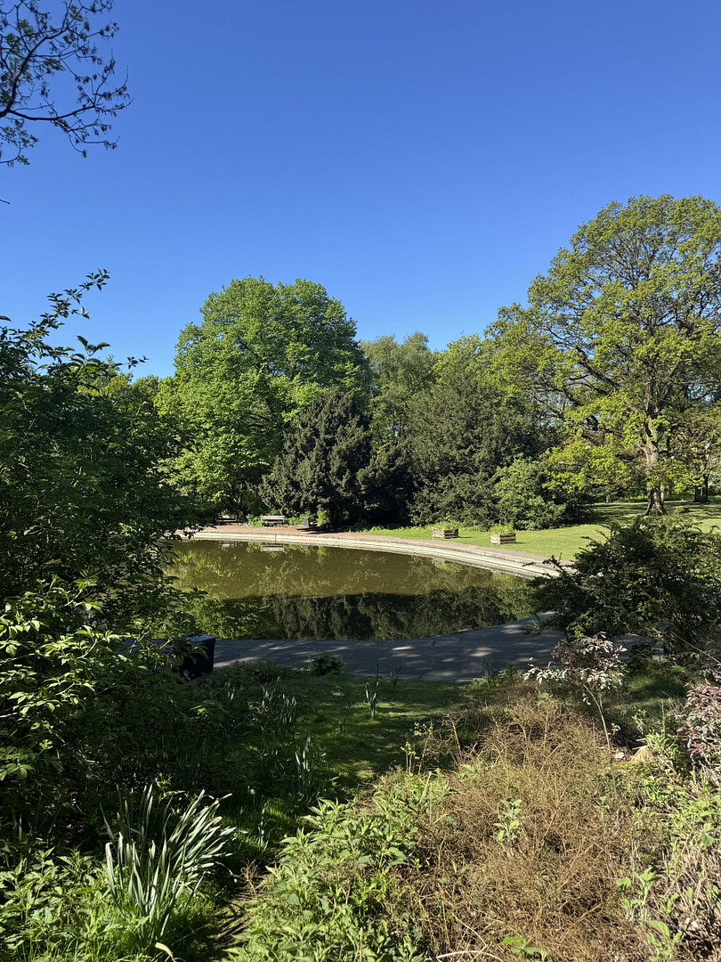 Bezugsfrei - Wohnen über den Dächern Eilbeks - mit Weitblick über den Jacobipark bis zum Hafen. – Friedenstraße 23, 22089 Hamburg(Eilbek) – Vorschaubild 9
