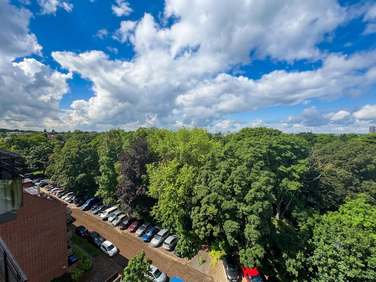 Bezugsfrei - Wohnen über den Dächern Eilbeks - mit Weitblick über den Jacobipark bis zum Hafen. – Friedenstraße 23, 22089 Hamburg(Eilbek) – Vorschaubild 6
