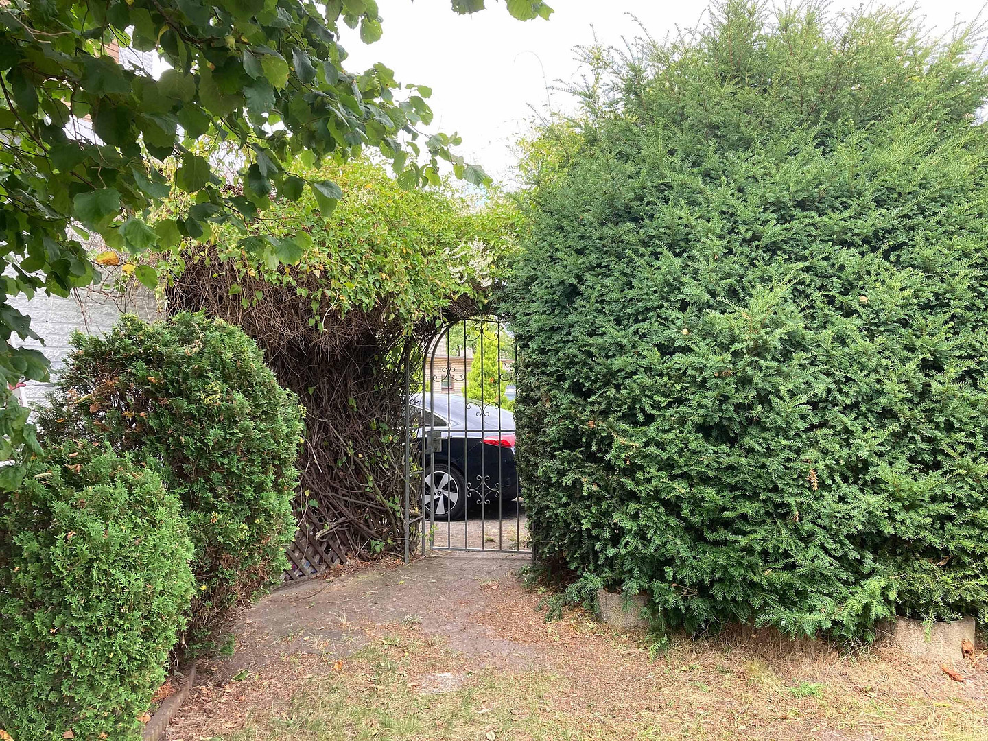 Gepflegtes Reihenendhaus mit Garten in Bremen-Huchting – 28259 Bremen(Huchting) – Vorschaubild 4