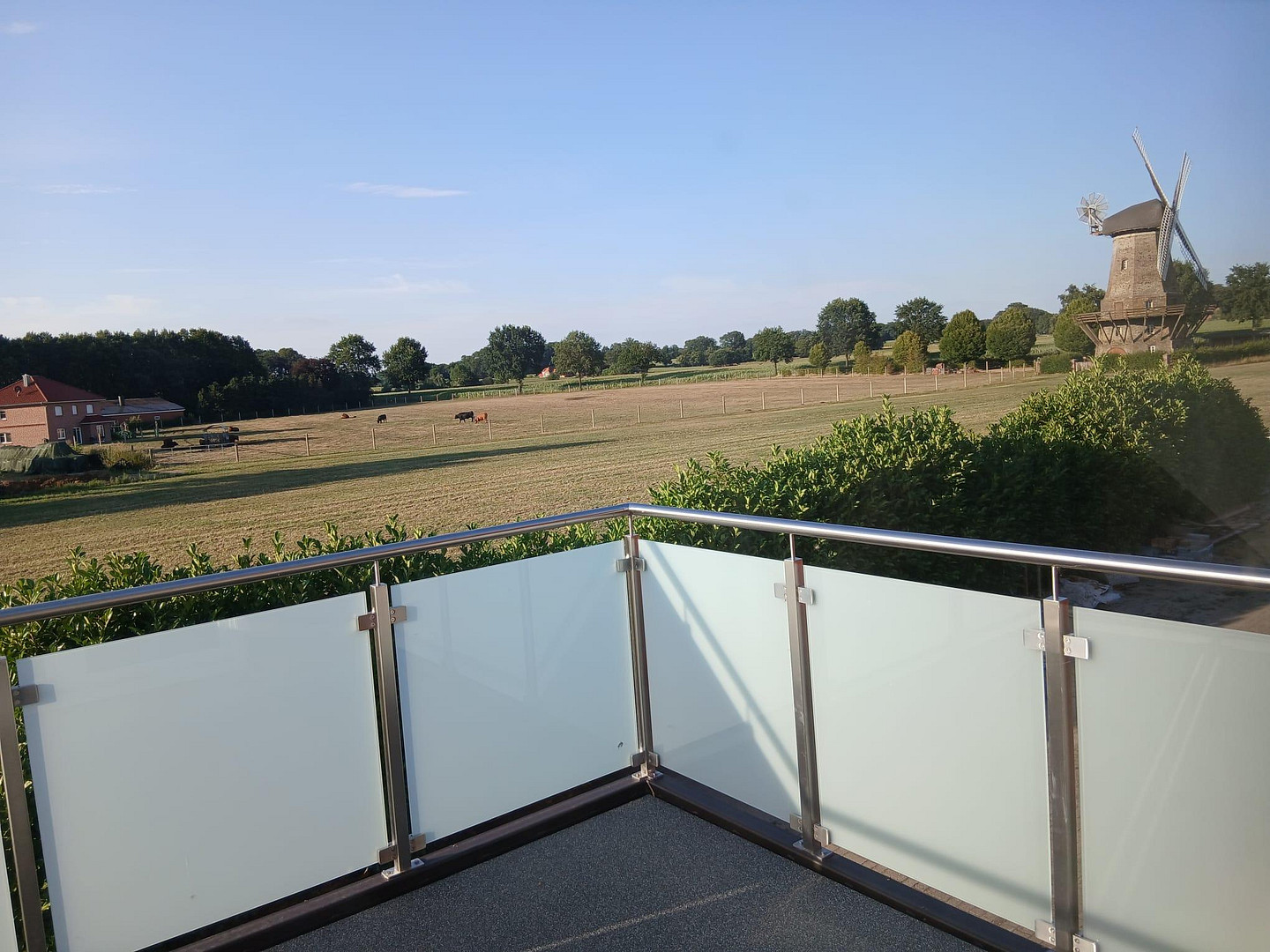 Ausblick auf die Mühle