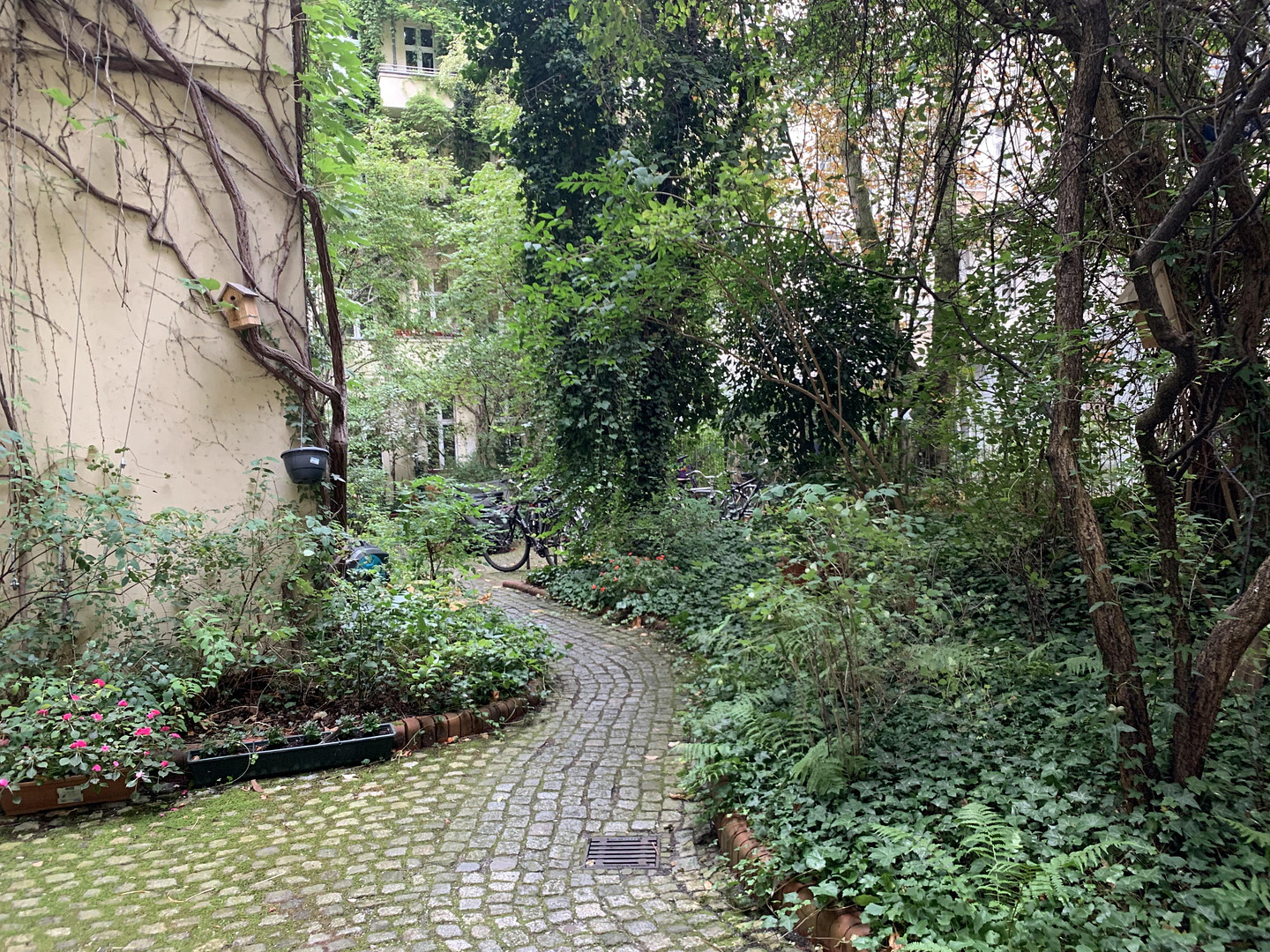 Provisionsfreie 56m² Altbau-Wohnung mit neuem Dach und neuer Heizung im Heckmannufer, Wrangelkiez – 10997 Berlin(Kreuzberg) – Vorschaubild 3