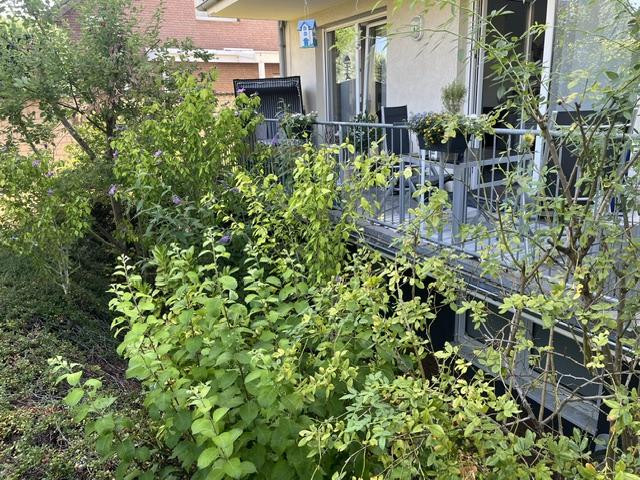 Hochwertige helle 3-Zi.-Whg., Einbauküche u. Balkon, in modernem 4-Fam.-Haus, Bestwohnlage Groovnähe – Am alten Brauhaus 13 a, 51143 Köln(Zündorf) – Vorschaubild 30
