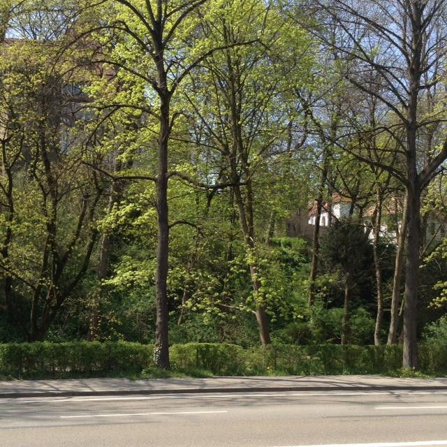 Wohnung Augsburg Innenstadt Traumlage PROVISIONSFREI zu verkaufen – Müllerstrasse 4, 86153 Augsburg(Innenstadt) – Vorschaubild 13