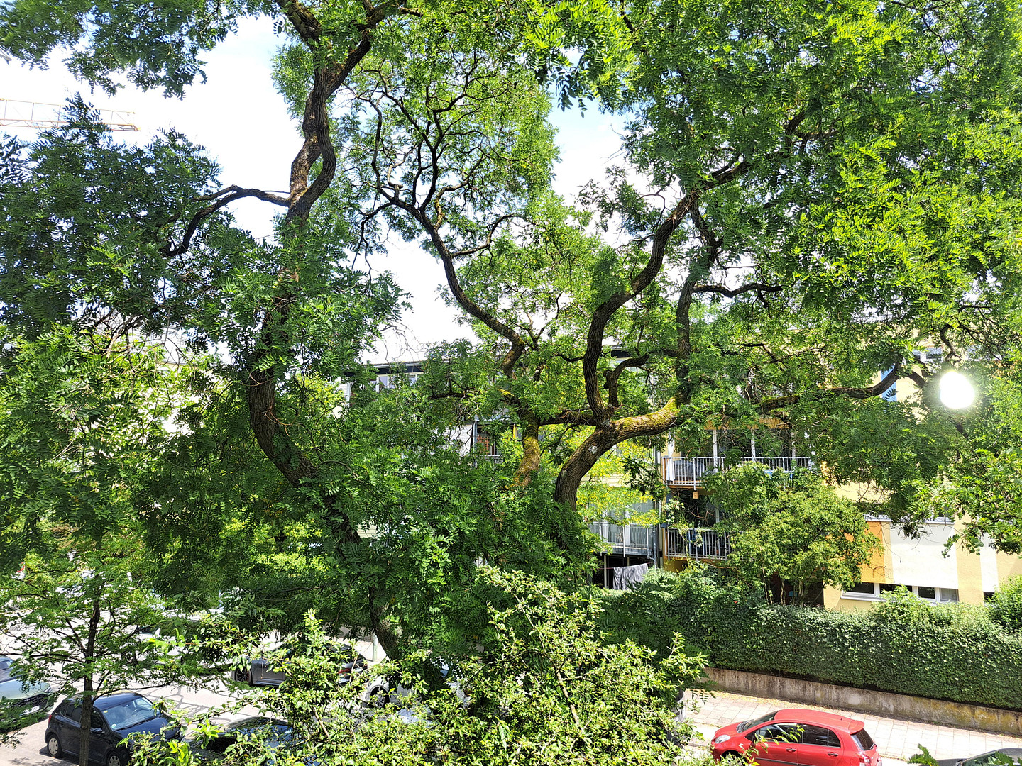 Sehr gut geschnittene, helle 2-Zimmer-Wohnung mit Balkon und Tiefgaragenstellplatz zu verkaufen – 80686 München(Laim) – Vorschaubild 13