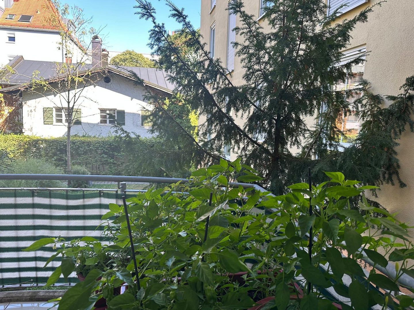 Helle 3 Zimmer ETW München-Berg am Laim, moebliert, Privatverkauf – josephsburgstr 19, 81673 München(Berg am Laim) – Vorschaubild 21