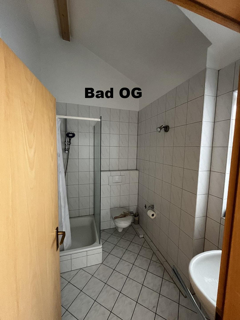 Stilvolles Einfamilienhaus mit Einliegerwohnung – 67067 Ludwigshafen(Gartenstadt) – Vorschaubild 26