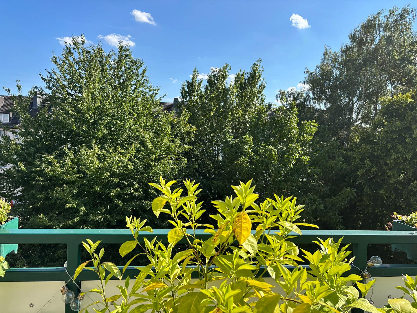1A Lage- freie Wohnung mit EBK im Vorderen Westen m. Balkon + Garten / 3 ZKB Herkulesstr - Privat – Herkulesstraße, 34119 Kassel – Vorschaubild 2