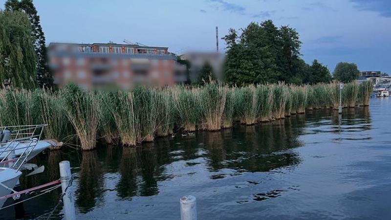 Penthouse der Extraklasse am Wasser - Ihr persönlicher Rückzugsort über den Dächern von Köpenick – 12557 Berlin(Köpenick) – Vorschaubild 4
