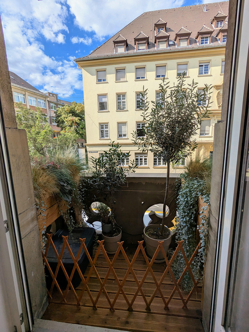 Sanierte Altbauwohnung mit 5 Zimmern in der Neckarstadt Ost – 68167 Mannheim – Vorschaubild 8