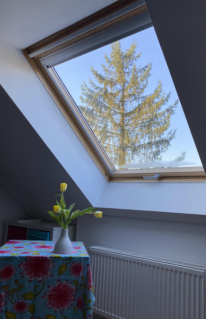 Familienfreundliches Haus in der Steenkampsiedlung – 22607 Hamburg(Bahrenfeld) – Vorschaubild 9