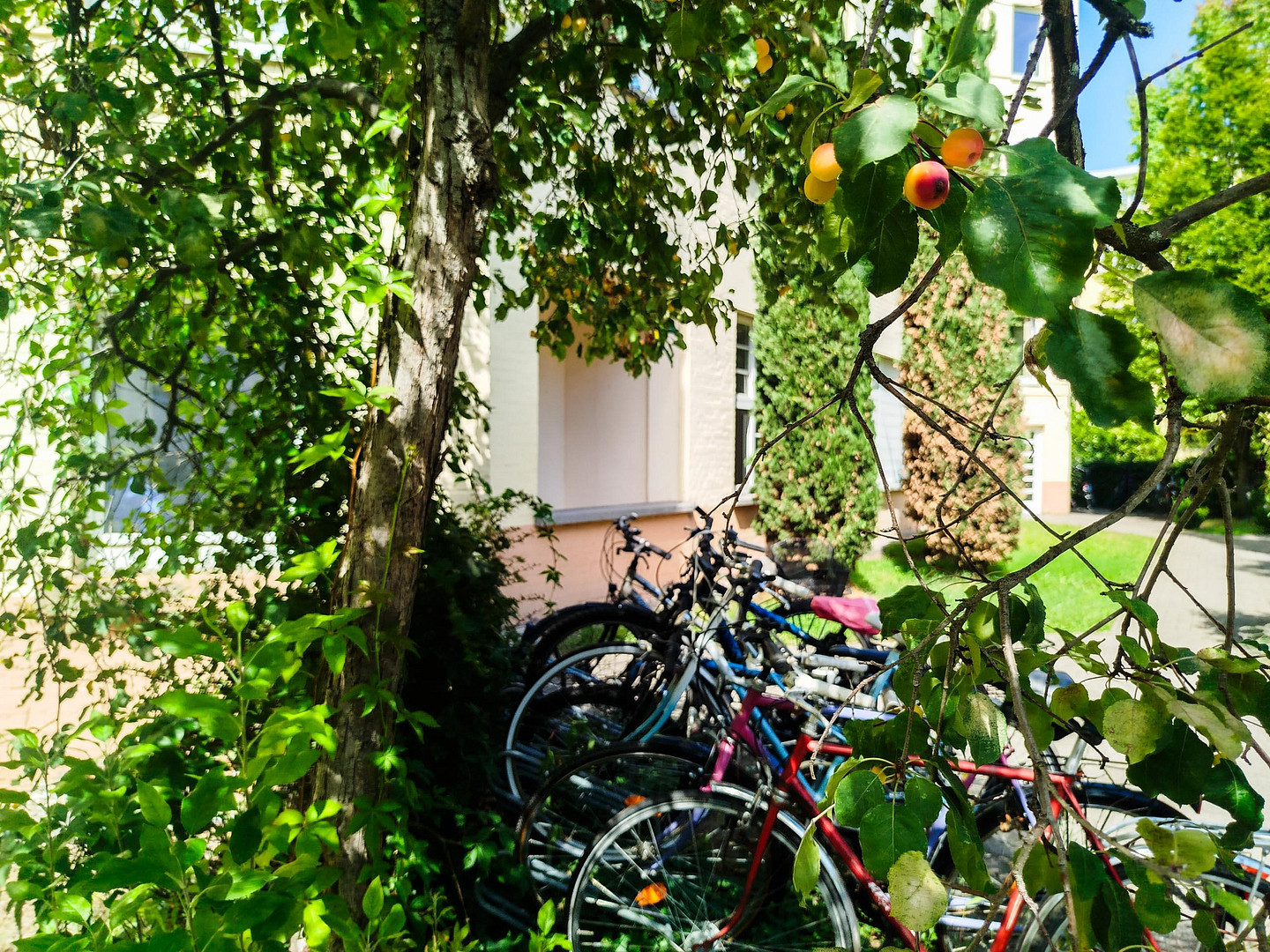 Zentral gelegene Wohnung im Kulturdenkmal mit parkähnlichem Innenhof & Loggia, provisionsfrei! – 68167 Mannheim(Wohlgelegen) – Vorschaubild 10
