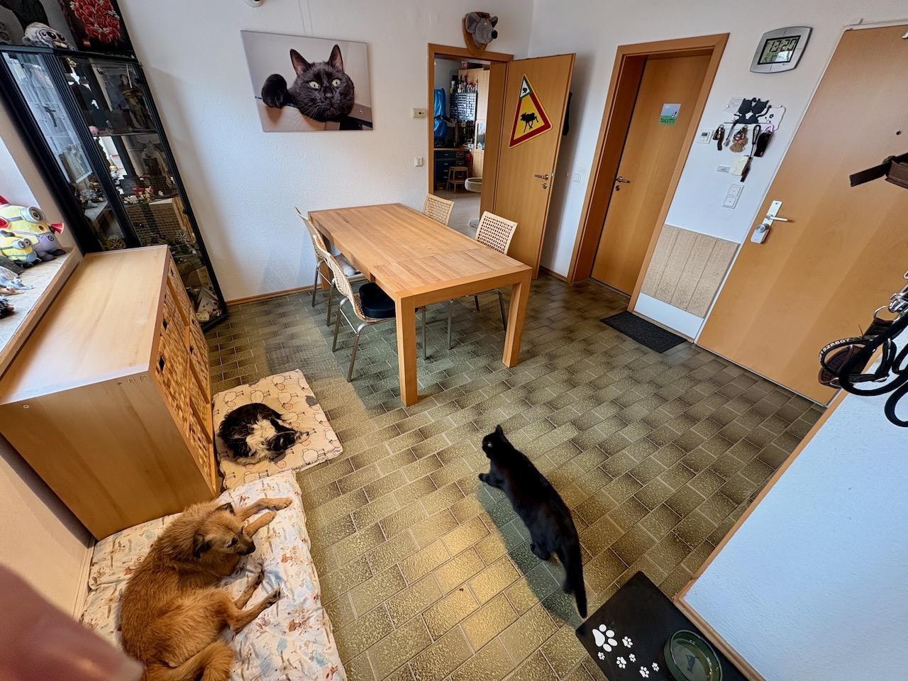 Wohnen am See: Traumwohnung mit Potenzial für zwei Einheiten, provisionsfrei von Privat – 51373 Leverkusen(Küppersteg) – Vorschaubild 3