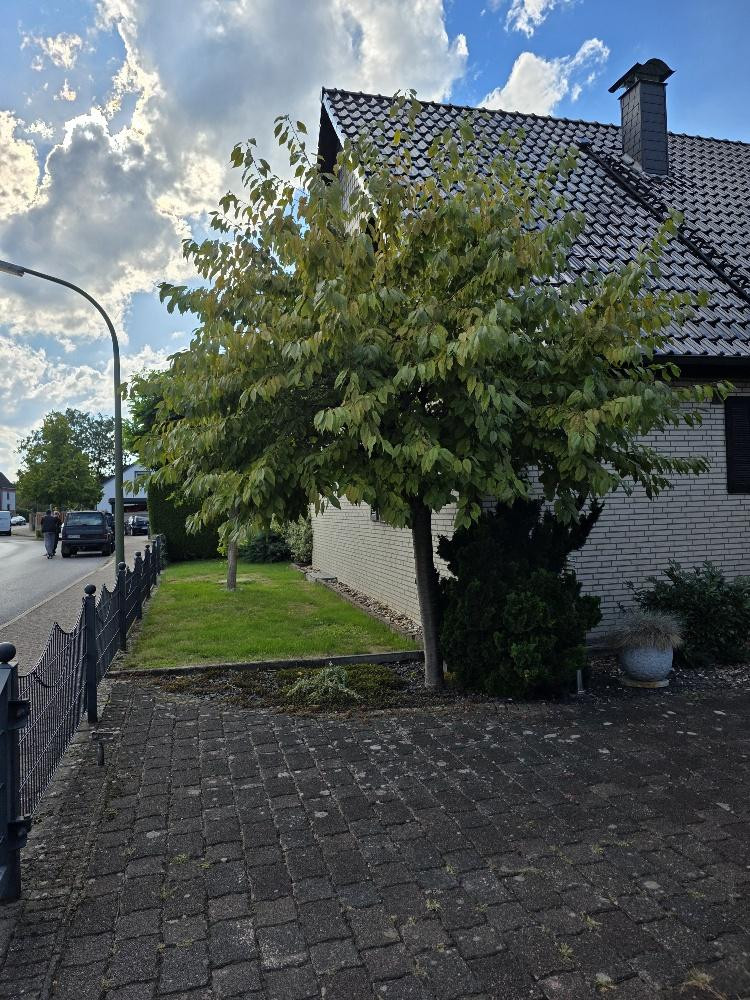 Ruhiges und sehr gepflegtes Einfamilienhaus im Zentrum von Bönen – 59199 Bönen – Vorschaubild 17