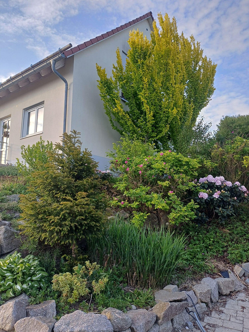 Effizienzhaus im Grünen – 82294 Oberschweinbach – Vorschaubild 23