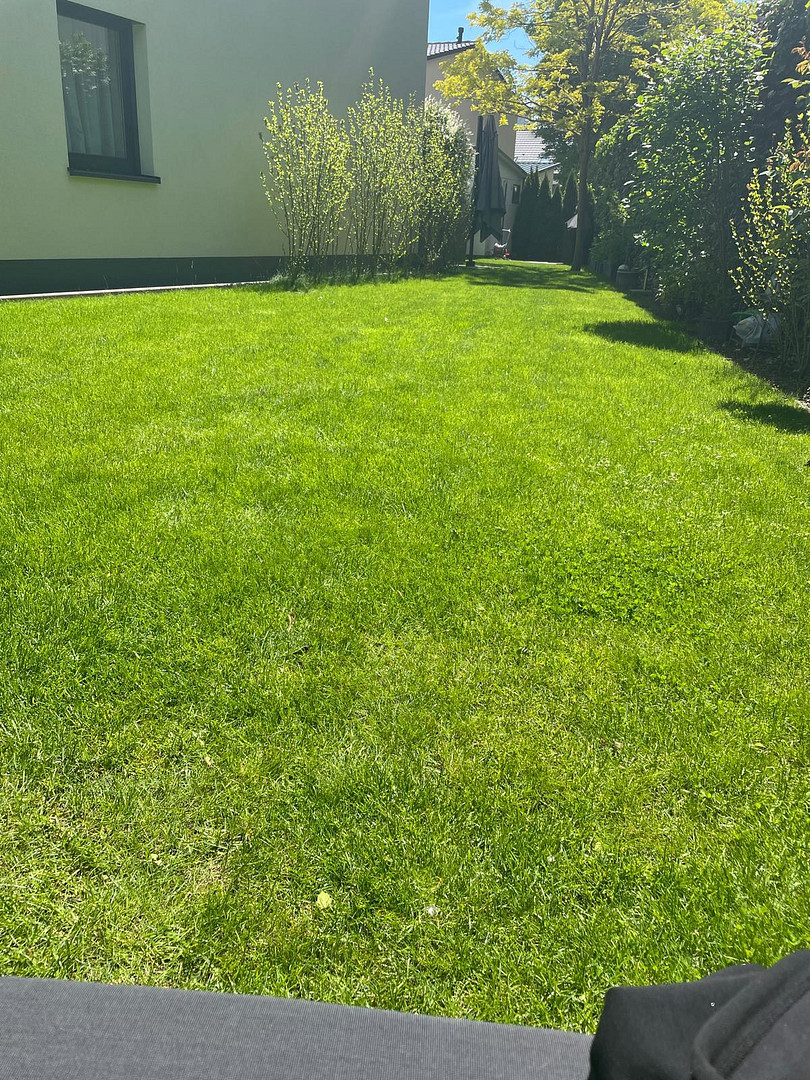Modernes & Energieeffizientes Reihenendhaus mit großem Garten – 63128 Dietzenbach – Vorschaubild 24