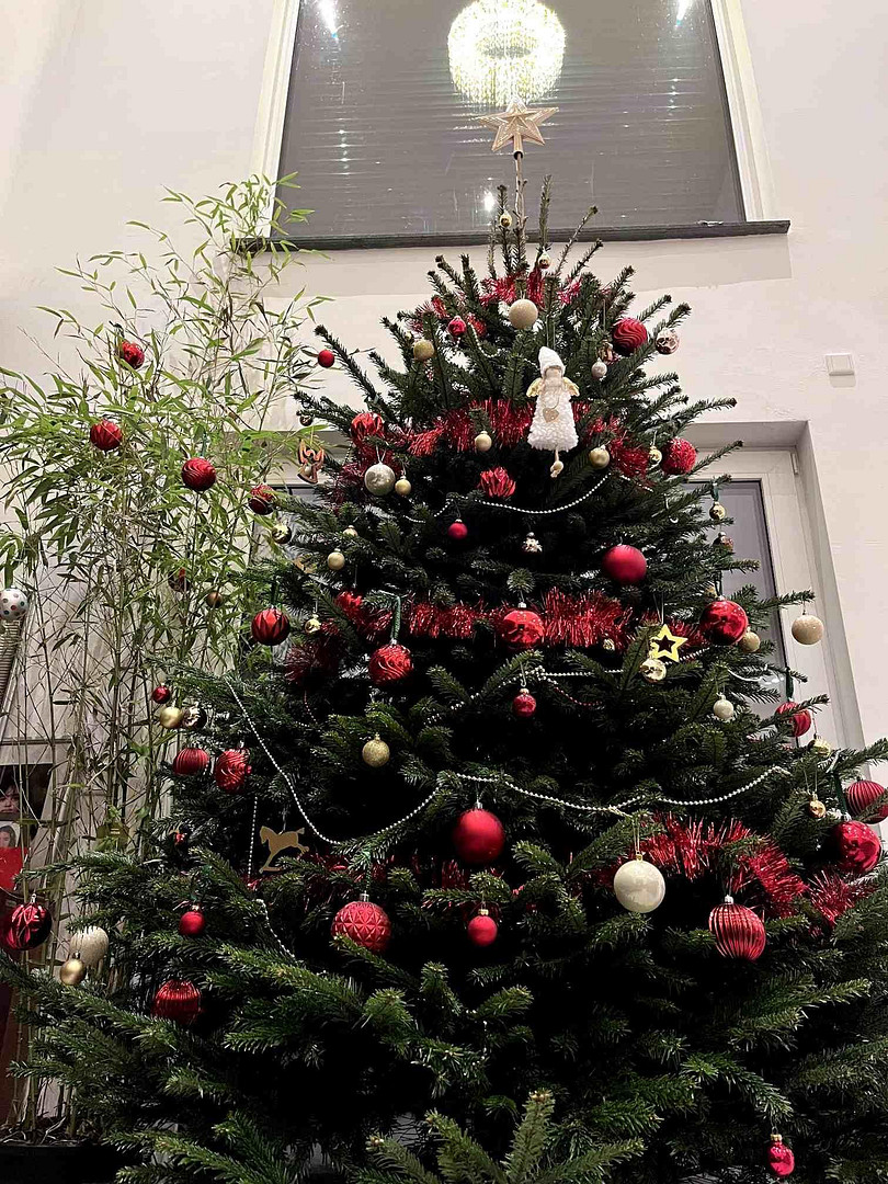 Smartes Bauhaus-Anwesen mit Penthouse. Fernblick. Feldrandlage. – 35510 Butzbach(Nieder-Weisel) – Vorschaubild 7