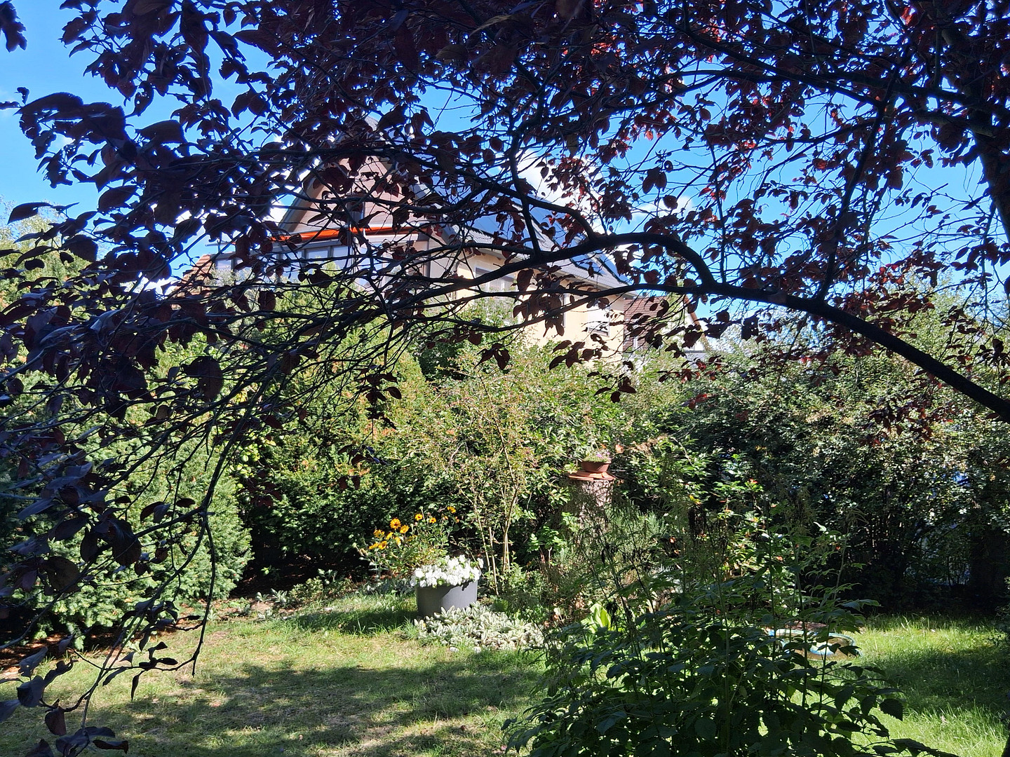 Kleine, helle und ansprechende Wohnung in grüner, doch zentraler Lage – 90482 Nürnberg(Laufamholz) – Vorschaubild 4