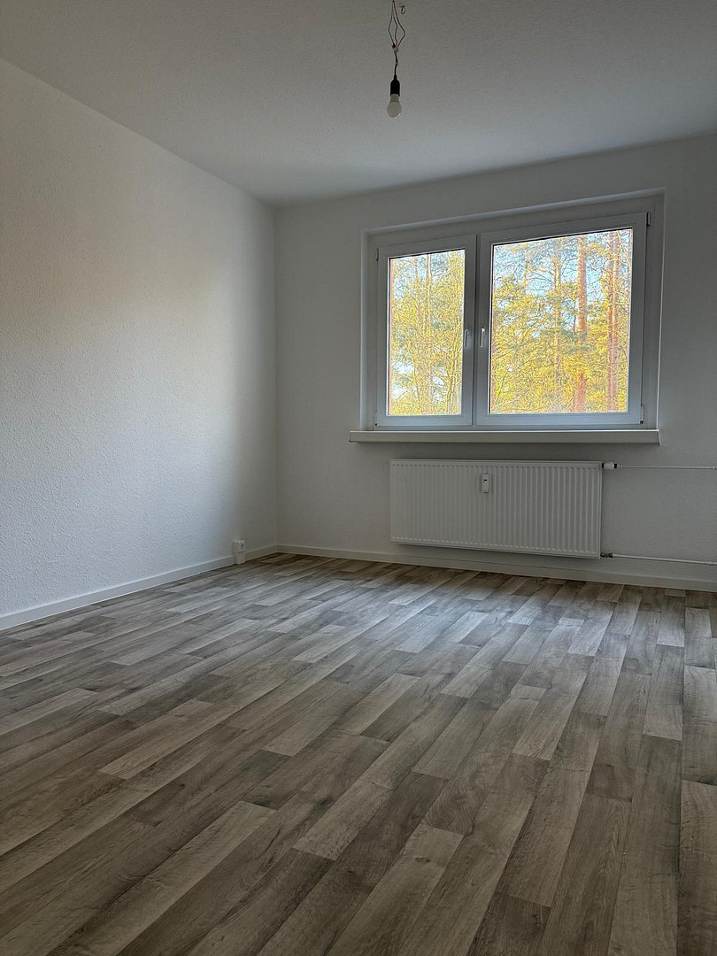 Erstbezug nach Sanierung – moderne 4-Zimmer-Wohnung mit Balkon und Blick ins Grüne – 15926 Heideblick – Vorschaubild 2