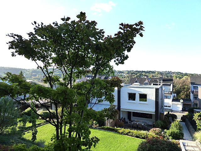 Ausblick zum Trienendorf