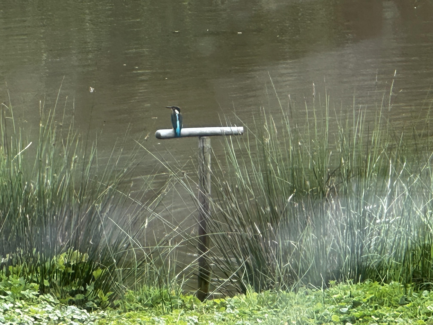 Naturidylle in Alleinlage, 4,7 ha – 55481 Kirchberg – Vorschaubild 28
